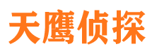 武川侦探公司